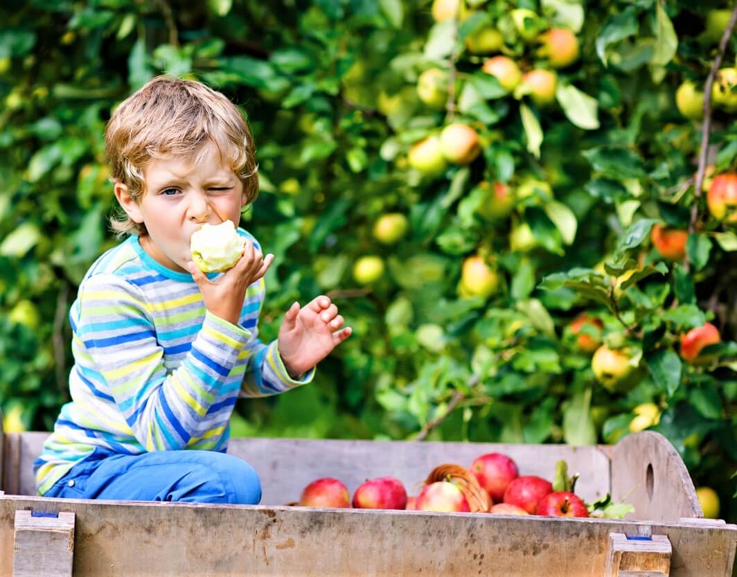 healthy fruits from your own garden