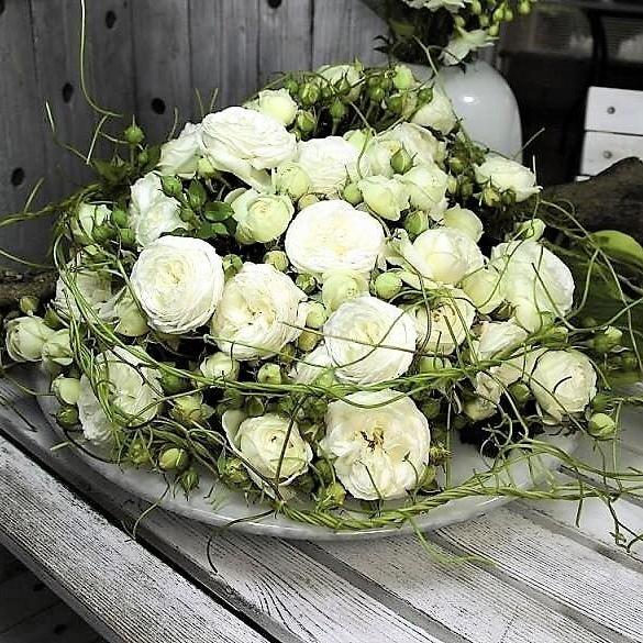 ARTEMIS Trandafir floribunda