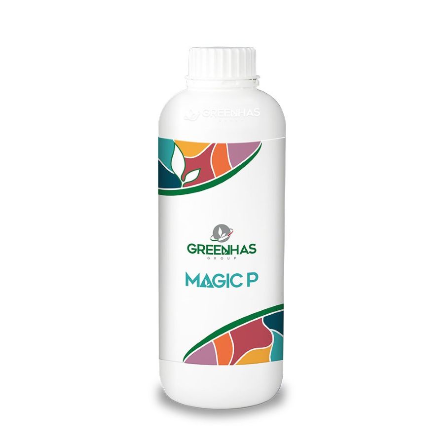 Ingrasamant Magic P