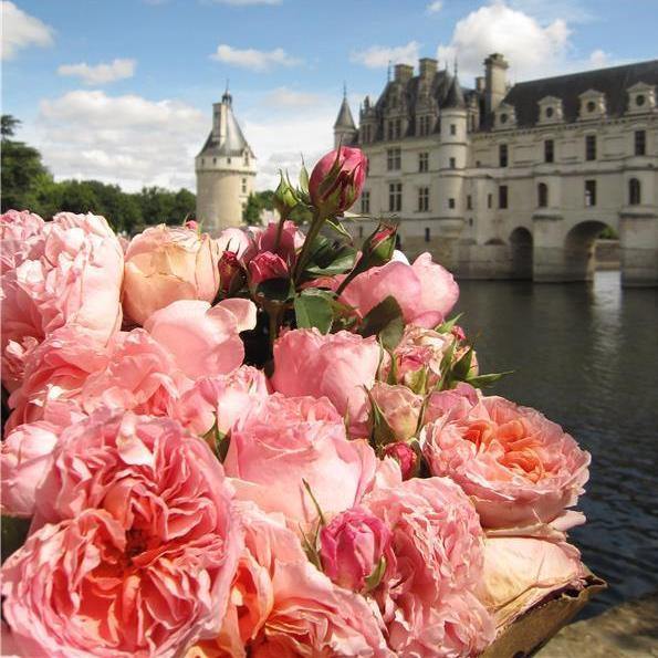 Dames de Chenonceau